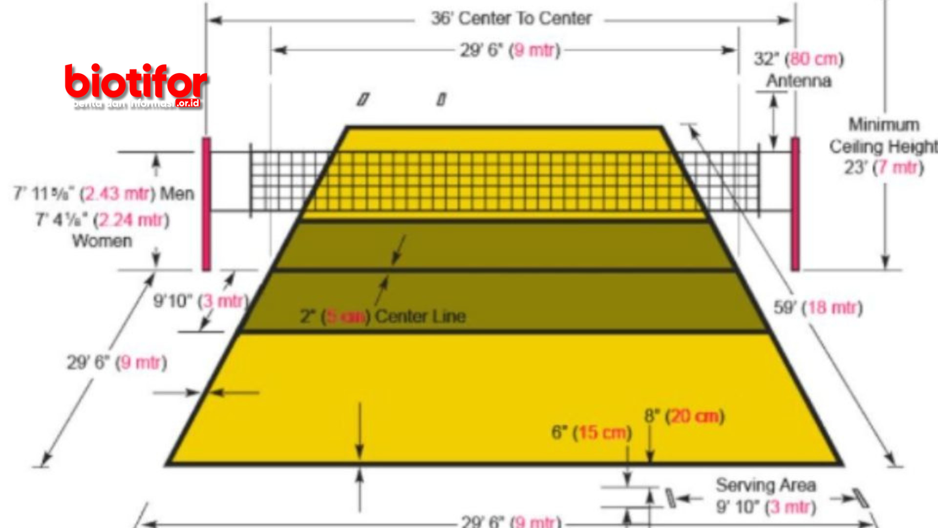 Ukuran Lapangan Bola Voli 