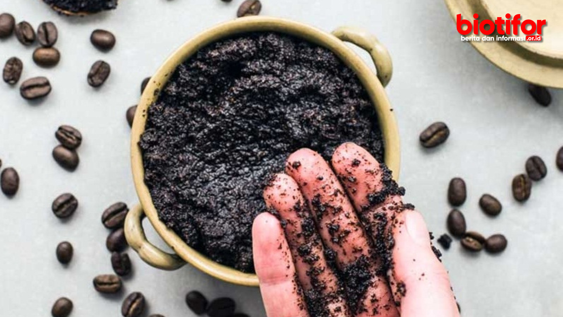 manfaat ampas kopi untuk tanaman