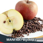 manfaat biji apel