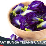 manfaat bunga telang untuk mata