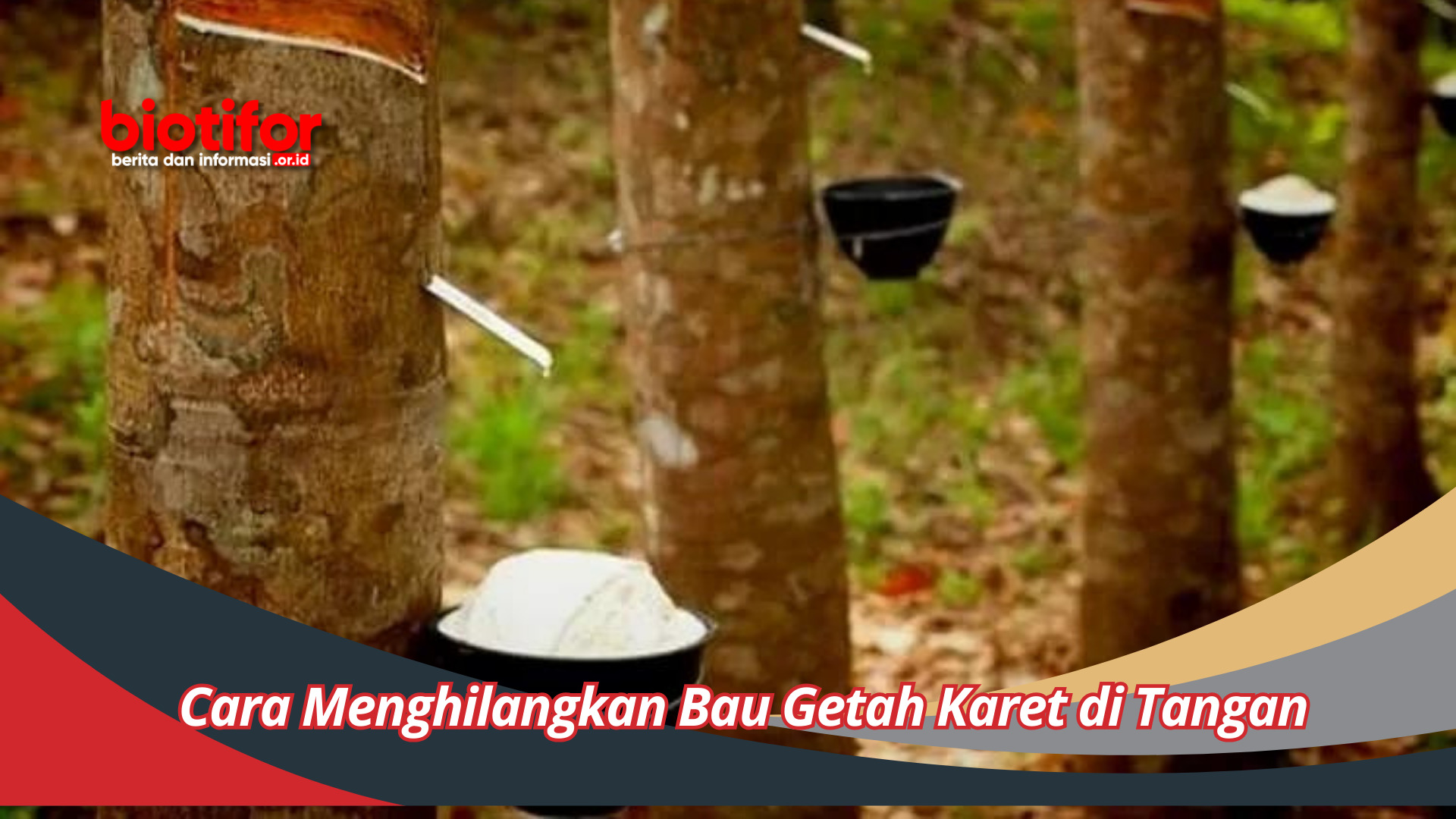 Cara Menghilangkan Bau Getah Karet di Tangan Dengan Mudah