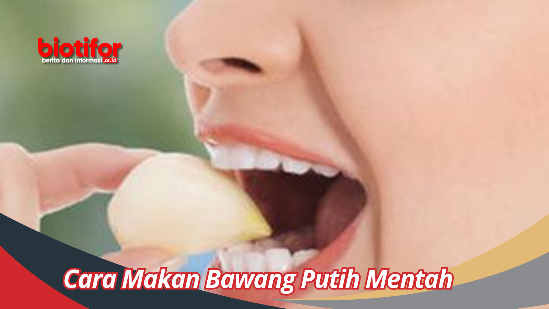 Cara Makan Bawang Putih Mentah: Manfaat dan Peringatan