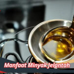 Manfaat Minyak Jelantah
