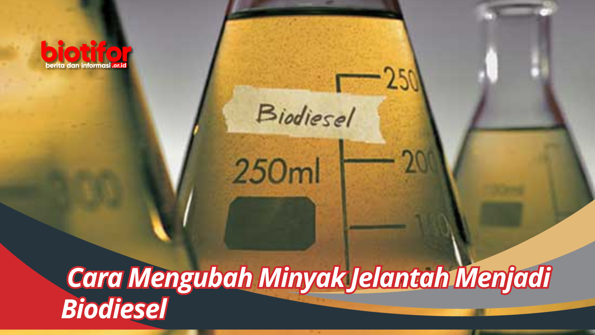 Cara Mengubah Minyak Jelantah Menjadi Biodiesel