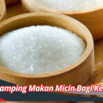 Efek Samping Makan Micin Bagi Kesehatan