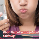 Obat Herbal untuk Meredakan Sakit Gigi