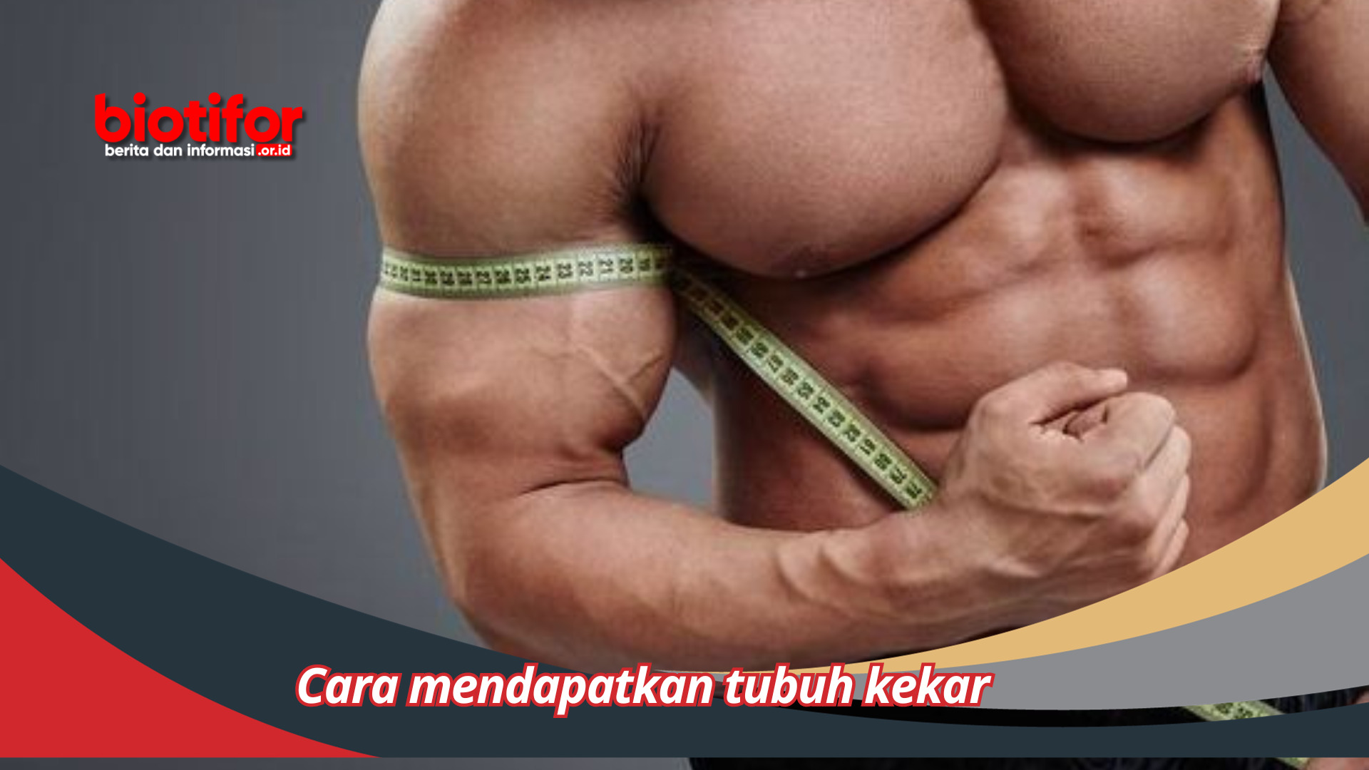 Cara Mendapatkan Tubuh Kekar Sehat Dan Menawan