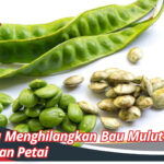 Cara Menghilangkan Bau Mulut Setelah Makan Petai