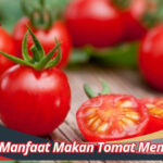 Manfaat Makan Tomat Mentah