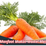 Manfaat Makan Wortel Mentah