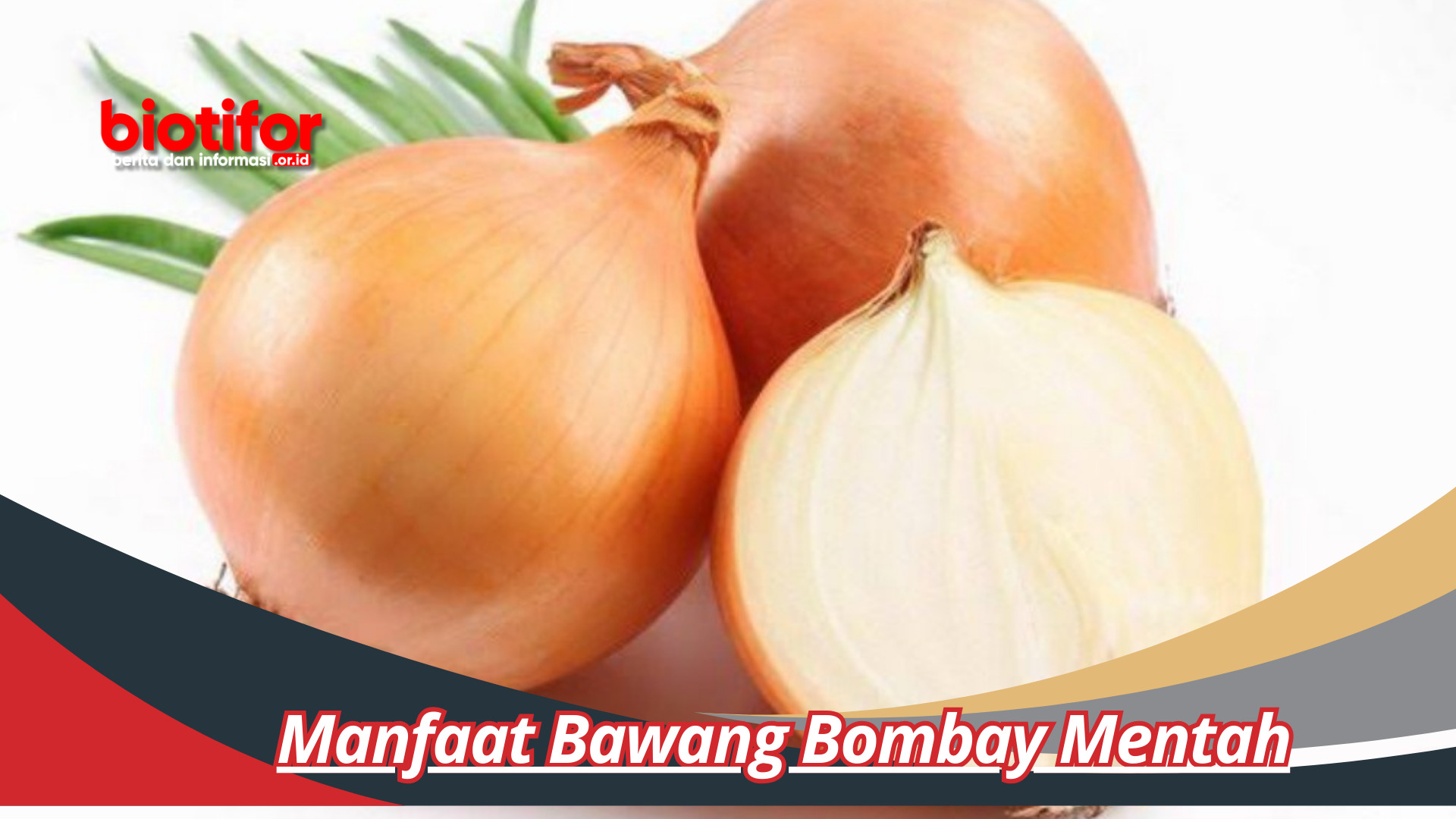 Manfaat Bawang Bombay Mentah: Menyelami Kesehatan dan Kesedapan