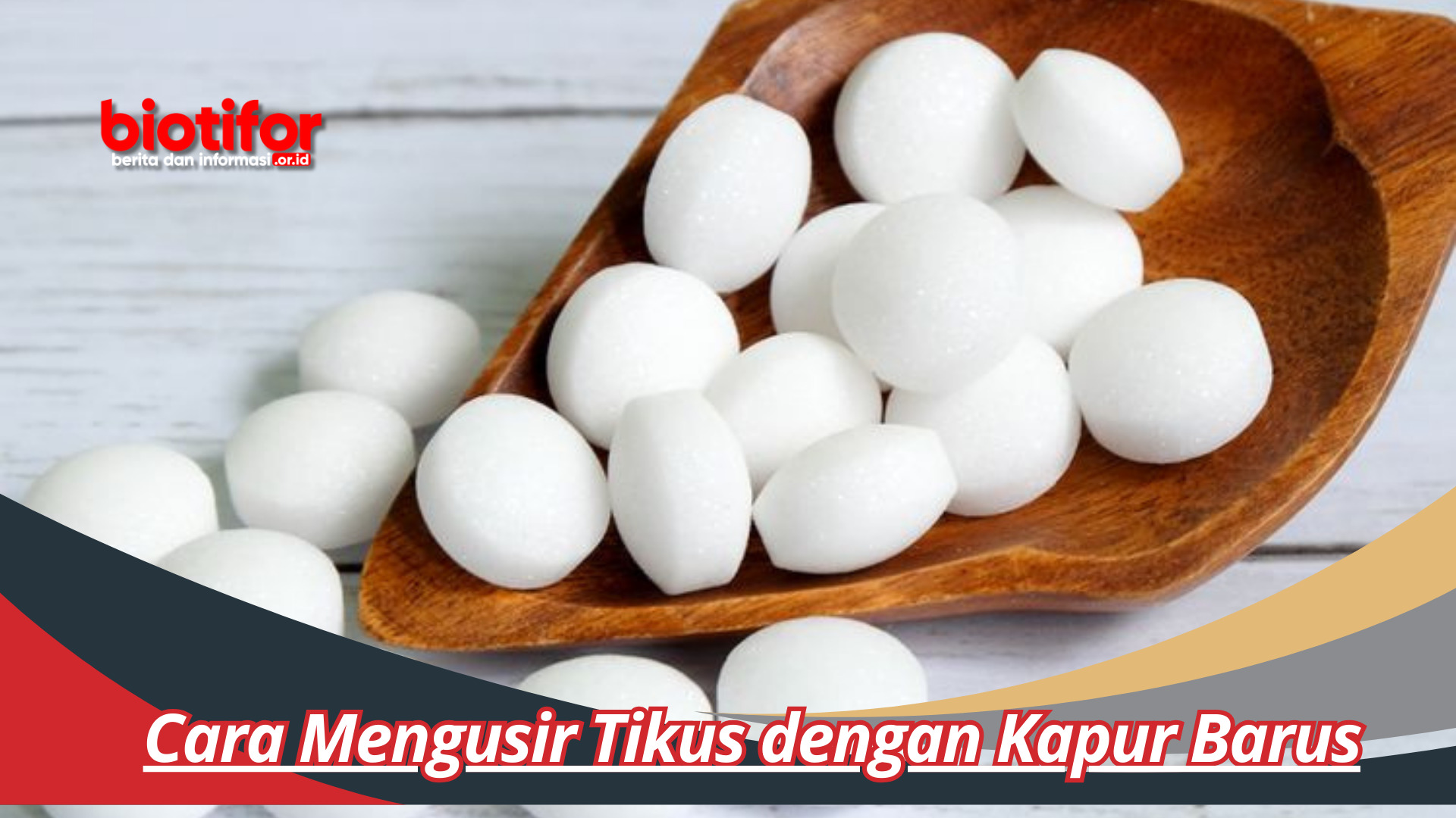 Cara Mengusir Tikus dengan Kapur Barus , Sangat Mudah