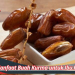 Manfaat Buah Kurma untuk Ibu Hamil