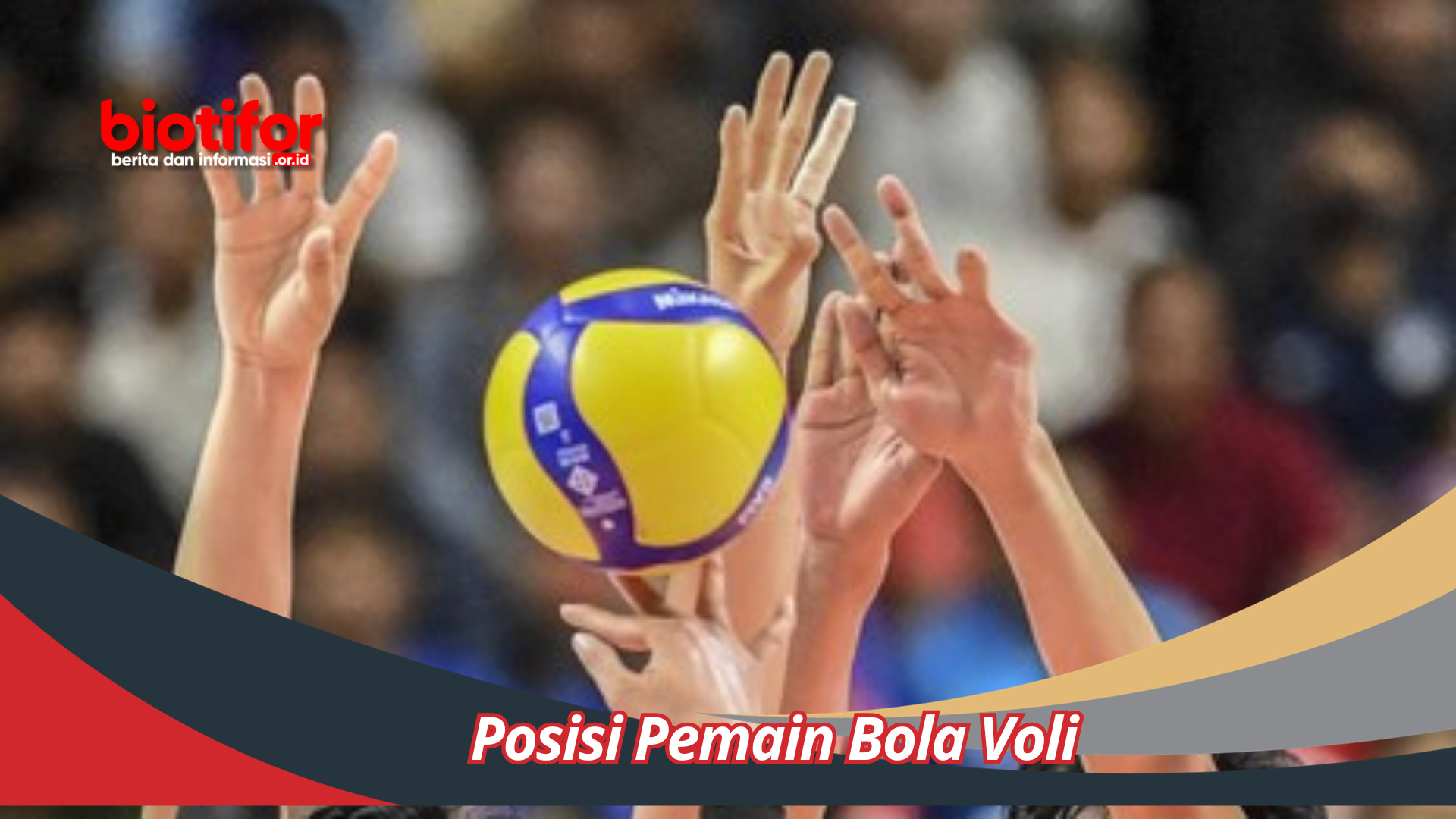 Posisi Pemain Bola Voli : Membutuhkan Ketrampilan Spesifik