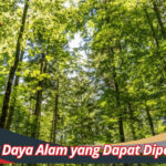 Sumber Daya Alam yang Dapat Diperbaharui