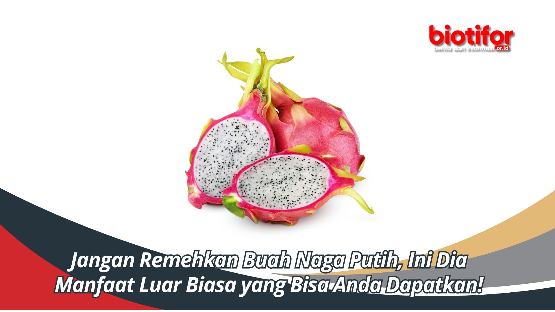 Jangan Remehkan Buah Naga Putih, Ini Dia Manfaat Luar Biasa yang Bisa Anda Dapatkan!