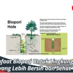 Manfaat Biopori Untuk Lingkungan yang Lebih Bersih dan Sehat