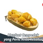 Manfaat Cempedak yang Perlu Anda Ketahui