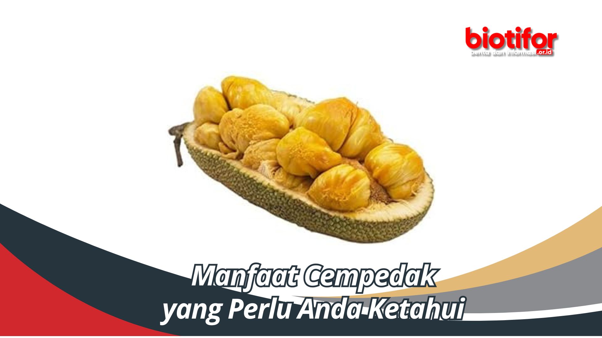 Manfaat Cempedak yang Perlu Anda Ketahui