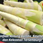 Manfaat Rebung Bambu, Kesehatan dan Kelezatan Tersembunyi