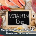 Manfaat Vitamin B12 untuk Kesehatan Optimal